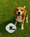 Load image into Gallery viewer, Fire Hose Dog Frisbee JR.