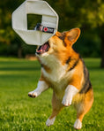 Load image into Gallery viewer, Fire Hose Dog Frisbee JR.