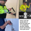 Load image into Gallery viewer, The Williams Key