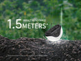 Load image into Gallery viewer, CL20R Pro Smart Multicolor Camping Lantern