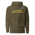 Load image into Gallery viewer, Are those Level IV plates Hoodie