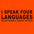 Load image into Gallery viewer, Four Languages - Hi-Vis Long Sleeve
