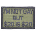 Load image into Gallery viewer, I'm Not Gay But $20 is $20 - 2x3 Patch
