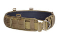 Load image into Gallery viewer, Cobra Rigger's Belt + Battle Belt Kit
