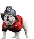 Load image into Gallery viewer, DAWG
