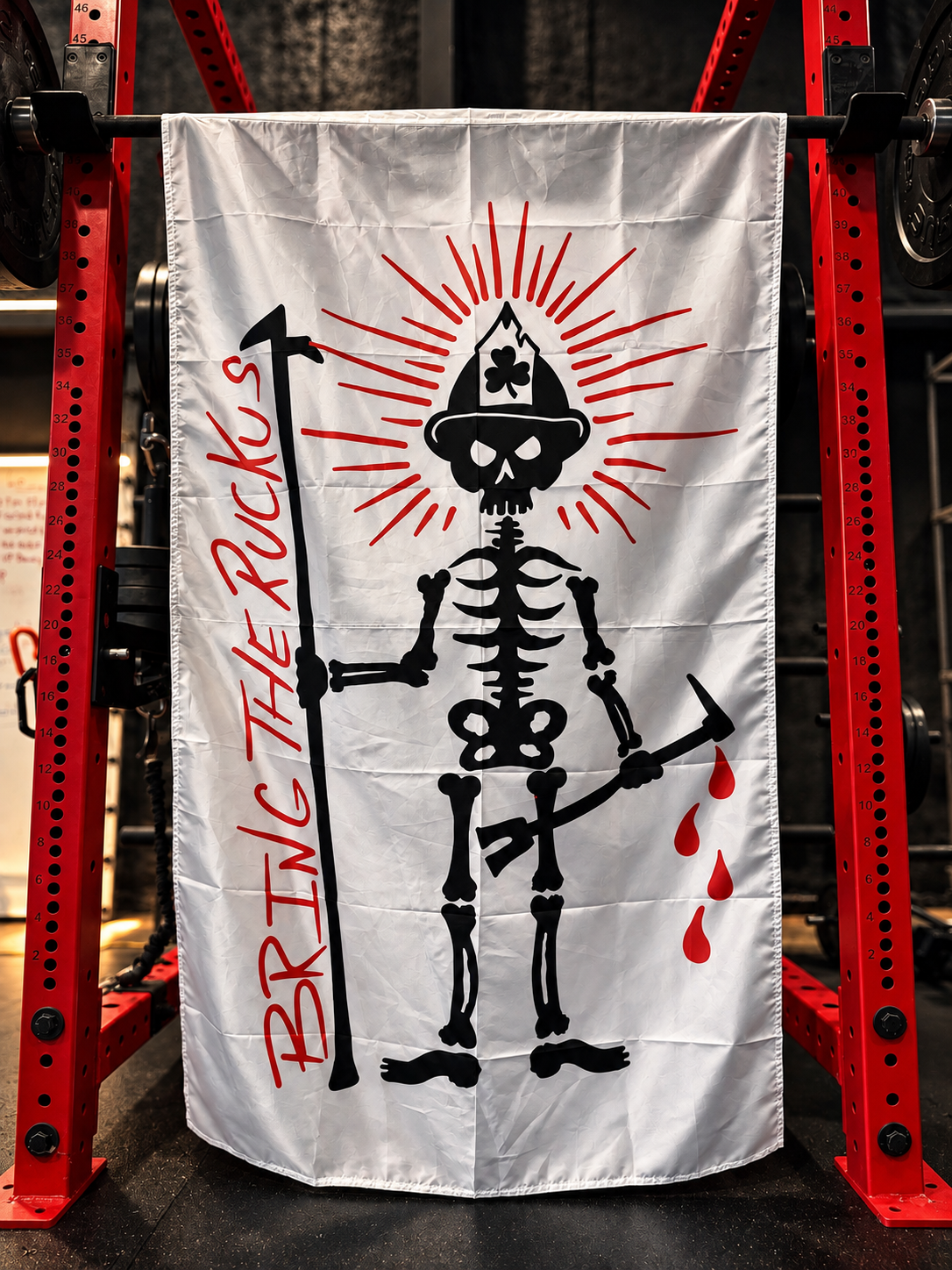 Bring the Ruckus Flag
