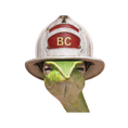 Load image into Gallery viewer, The BC look! 2 pack!
