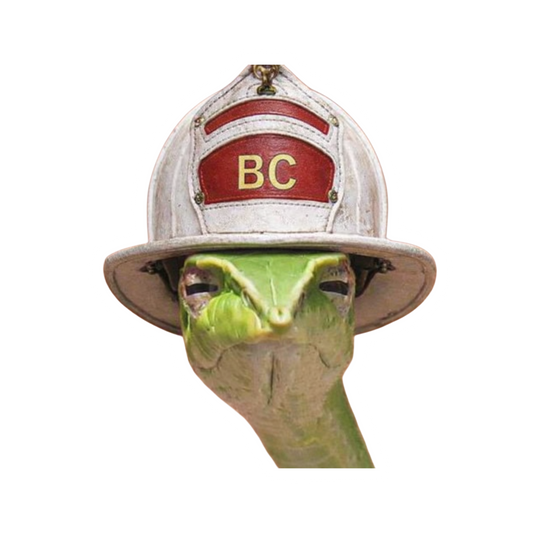 The BC look! 2 pack!
