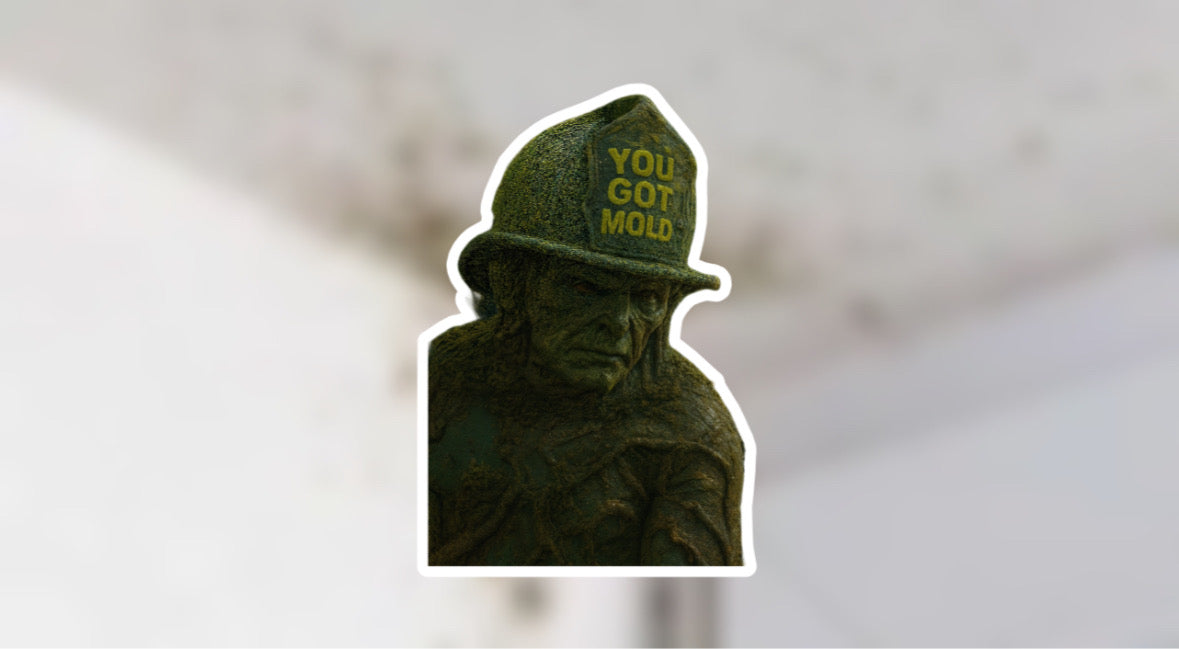 You got mold!