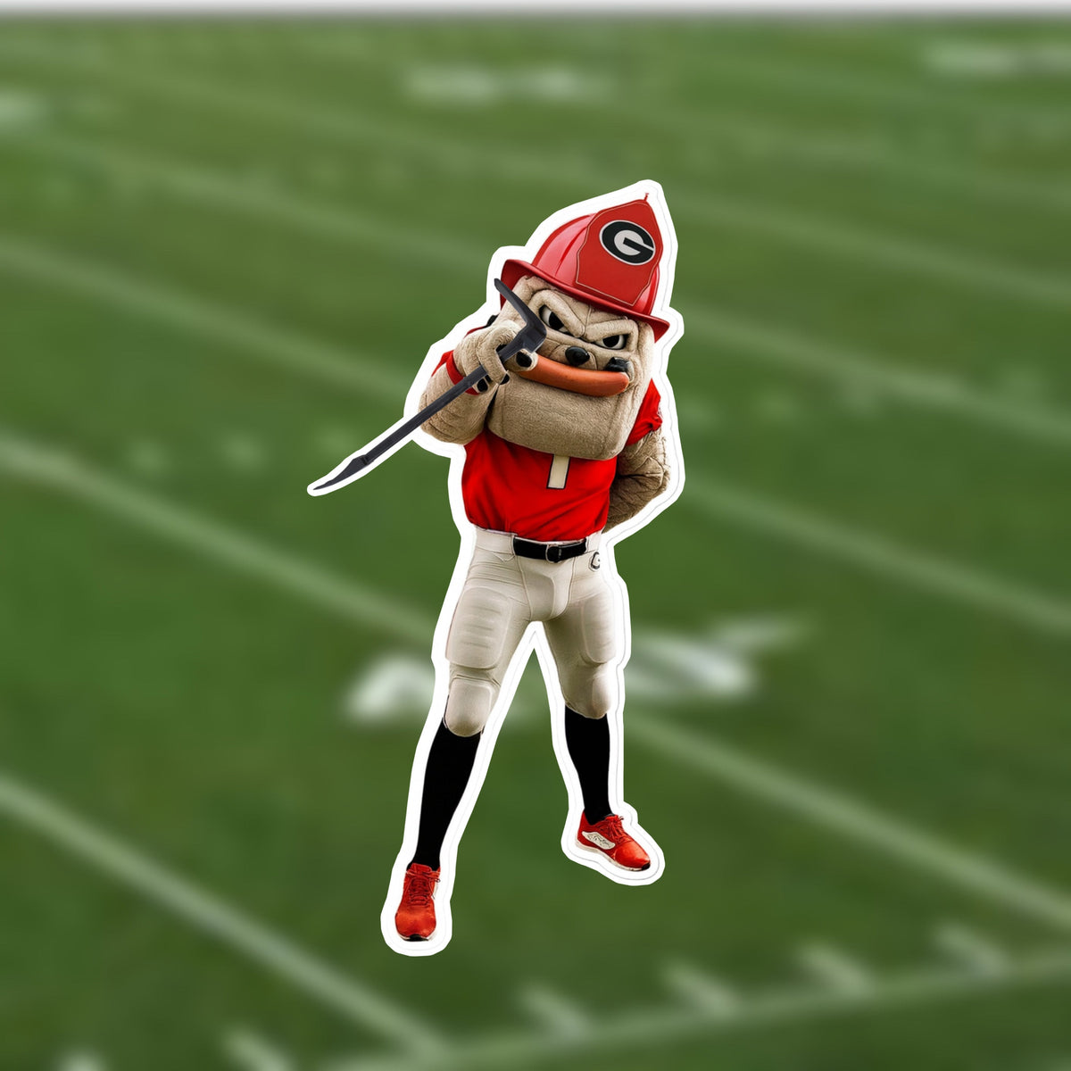 Hairy Dawg