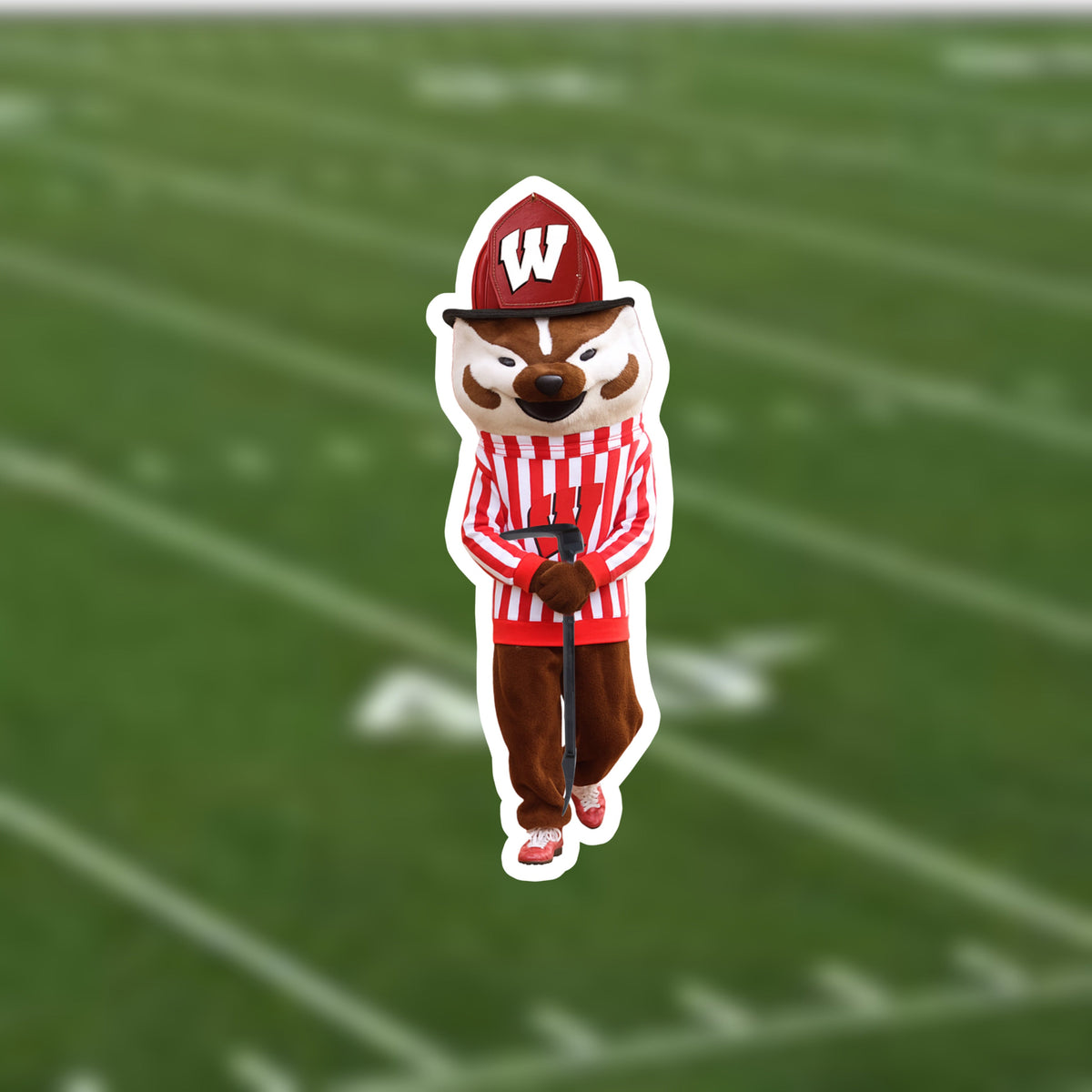 Bucky Badger