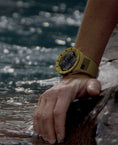 Load image into Gallery viewer, Coliseum Fit™ Freedom Edition (Coyote Tan/Black) Watch
