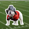 Load image into Gallery viewer, DAWG
