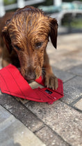 Load image into Gallery viewer, Fire Hose Dog Frisbee
