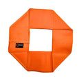 Load image into Gallery viewer, Fire Hose Dog Frisbee
