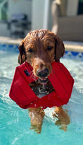 Load image into Gallery viewer, Fire Hose Dog Frisbee

