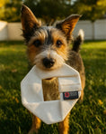 Load image into Gallery viewer, Fire Hose Dog Frisbee JR.
