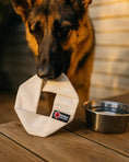 Load image into Gallery viewer, Fire Hose Dog Frisbee JR.
