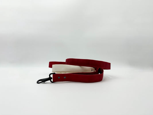 Dog Leash
