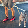 Load image into Gallery viewer, K9 Command Lead - Dual Control Dog Leash
