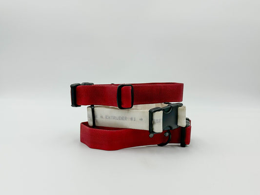 Dog Collars