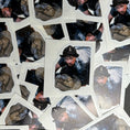 Load image into Gallery viewer, FF Irwin Sticker
