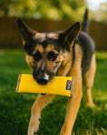 Load image into Gallery viewer, Recycled Fire Hose Dog Fetch Toy - XL
