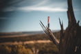 Load image into Gallery viewer, Ultralight Ridge Blade
