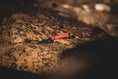 Load image into Gallery viewer, Ultralight Ridge Blade

