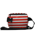 Load image into Gallery viewer, Mini Fanny Pack (USA Flag)
