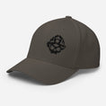 Load image into Gallery viewer, Black 3D Puff Skull Logo Flexfit Hat
