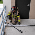 Load image into Gallery viewer, Fire Rescue Webbing XL
