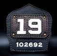 Load image into Gallery viewer, FDNY Style Passport Shield
