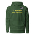 Load image into Gallery viewer, Are those Level IV plates Hoodie

